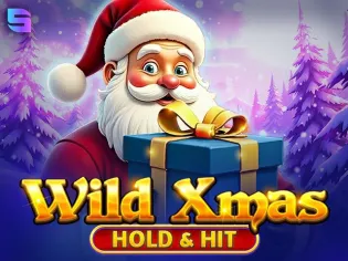 Wild Xmas – Hold & Hit game cover